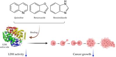 Frontiers | Natural compounds as lactate dehydrogenase inhibitors